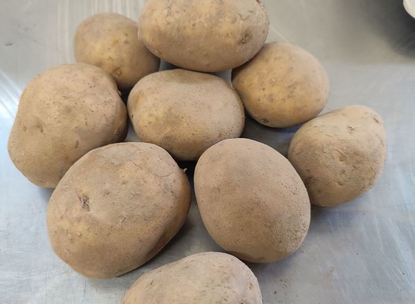 Potato White- Dirty (1 kg)