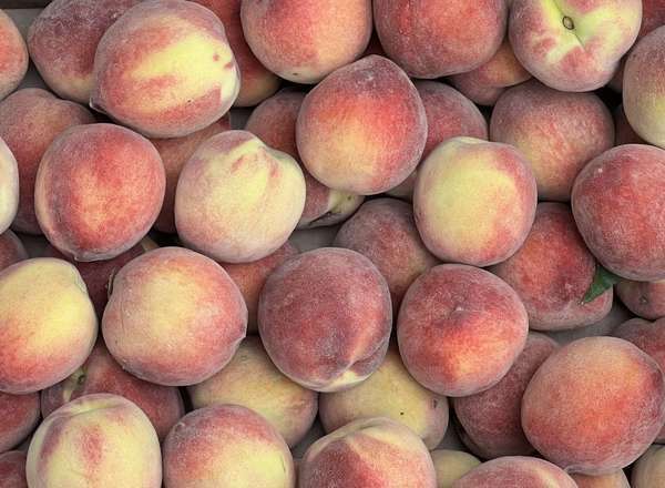 Organic Peaches (500g)