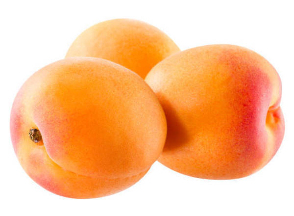 Apricot