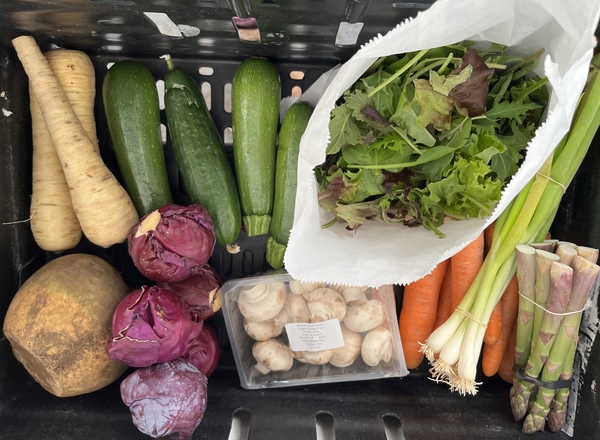 Large Veg Box No Potatoes
