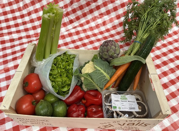 Large Veg Box No Potatoes