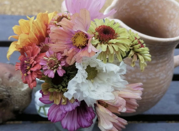 Organic Table Posie