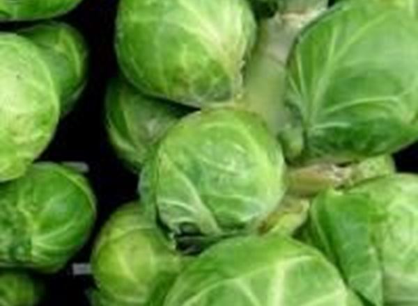 Brussel Sprouts 250g