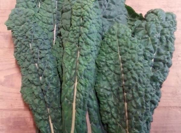 Kale- Cavolo Nero