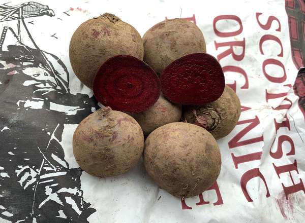Organic Beetroot Red