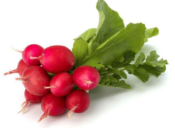 Organic Bunched Radish (French Breakfast)