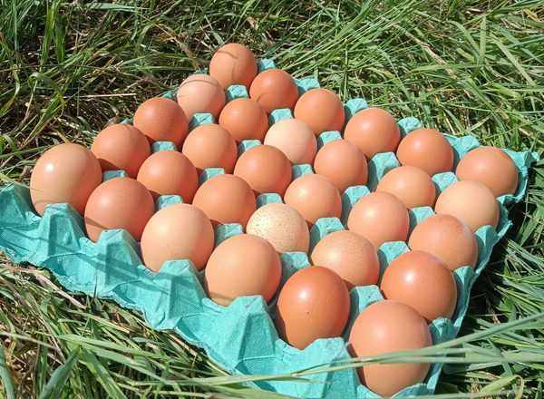 30 Organic eggs