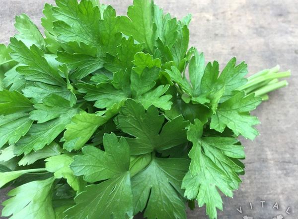 Parsley