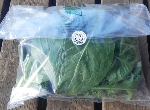 Winter Salad Bag 120g