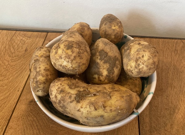 New Potatoes - Charlotte
