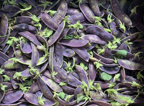 Mange Tout Purple (250g)