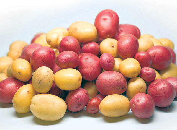Potatoes New