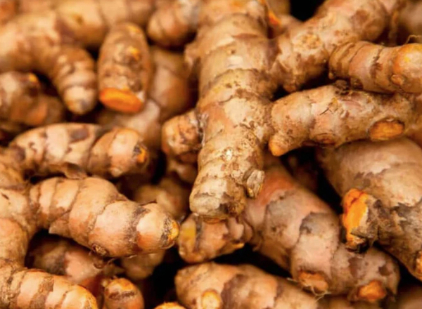 Turmeric