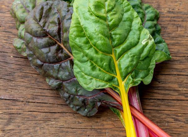 Chard