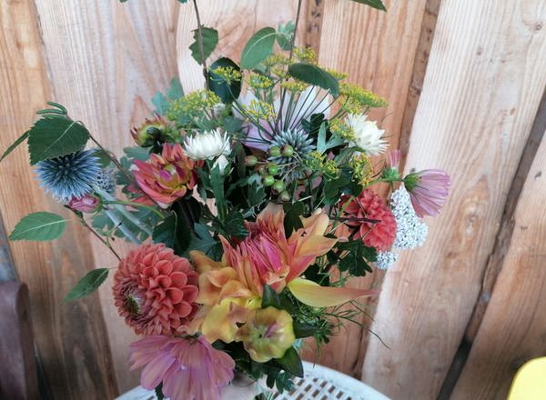 Organic Mixed Bouquet
