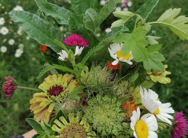 Organic Mixed Bouquet