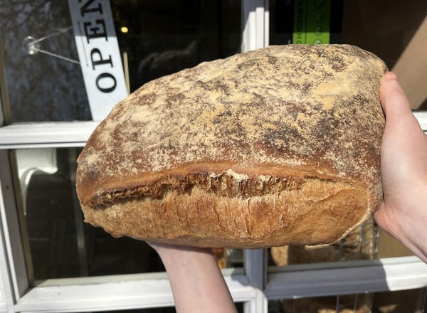 Organic Sourdough Loaf