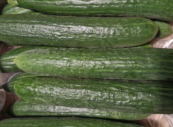 Cucumber