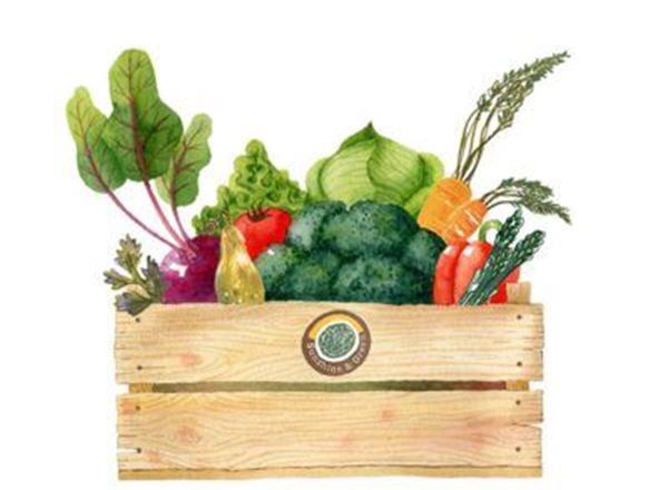 Standard Veggie Box