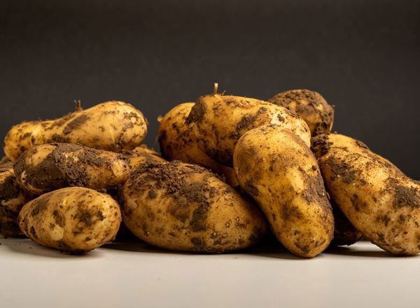 New potatoes (Colleen)