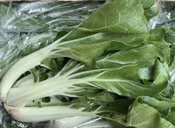 Organic Pak Choi