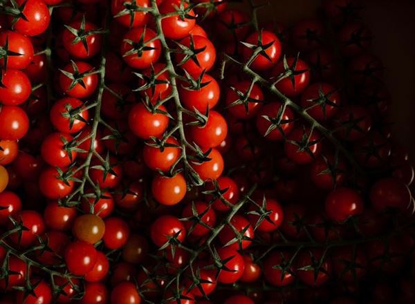 IOW Cherry Tomatoes  organic