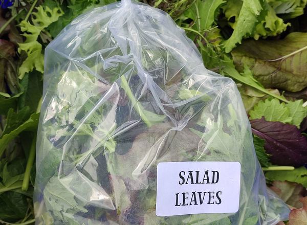 Mixed Salad WITH FLOWERS 100g (Own Grown)