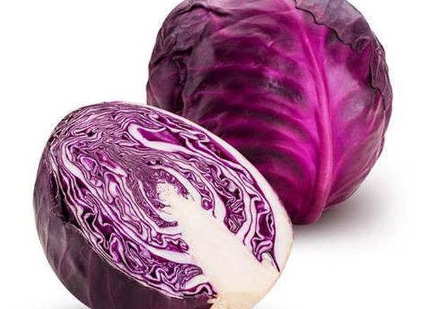 Cabbage - Red