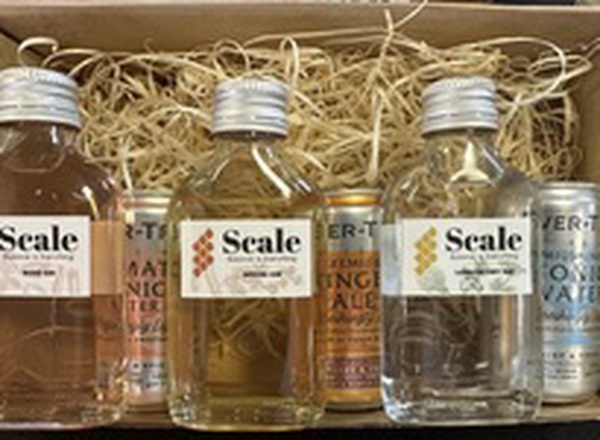 Scale Gin Sample Box