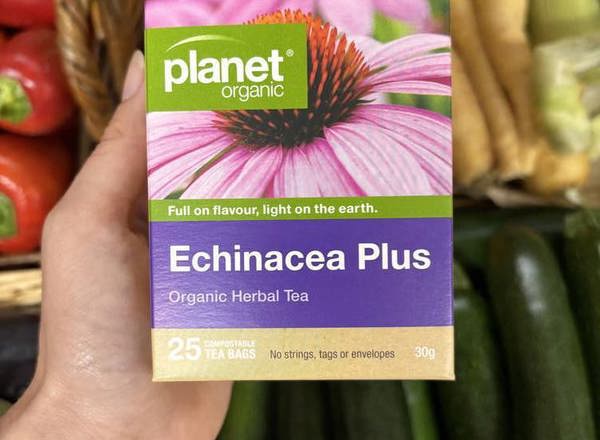 Planet Organic Tea 25 Bags Echinacea Plus