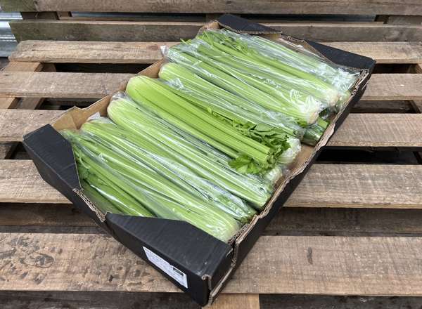 Organic Celery Cut in Bags