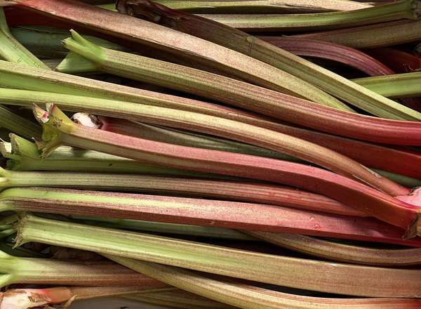 Rhubarb (500g)