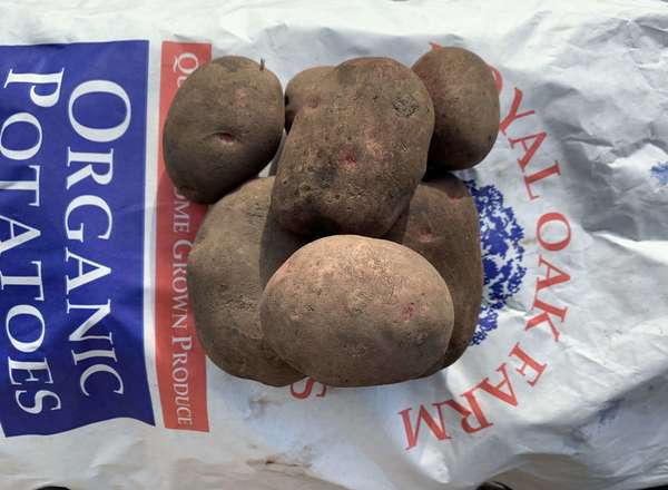 Organic Potato Red Cara