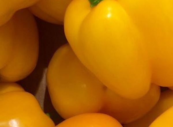 Pepper (Yellow) - Organic