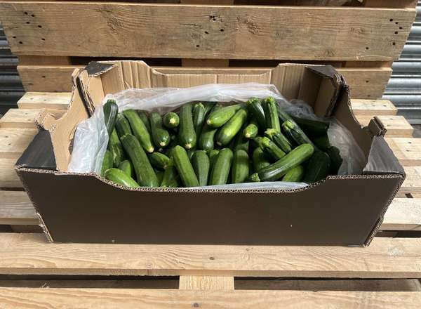 Courgettes - British Organic
