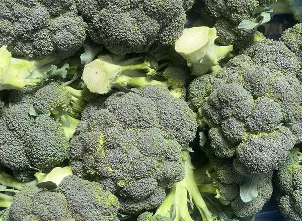 Organic Broccoli (600g)