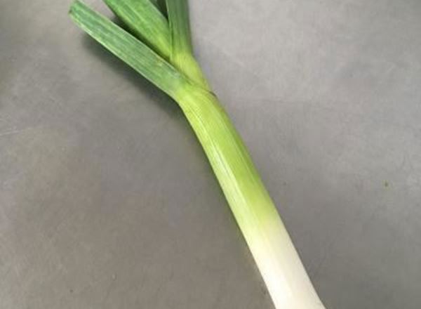 Green Garlic Organic