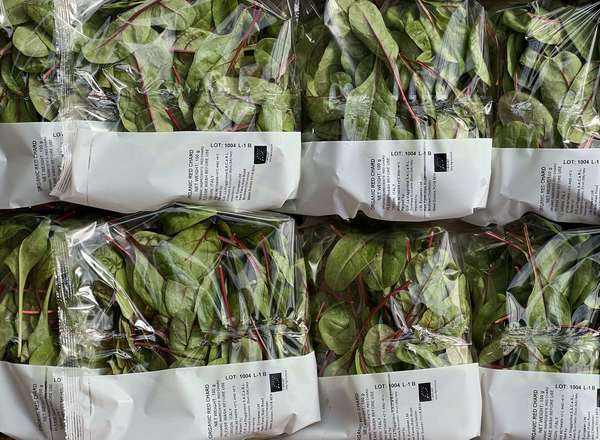 Organic Baby Red Chard (100g)