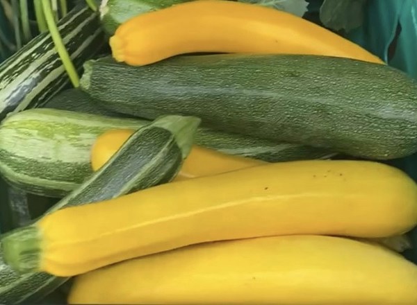 Courgettes