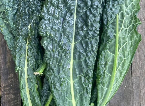 Organic Kale: Black