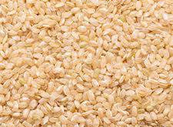 Beaniepack Organic Short Grain Brown Rice