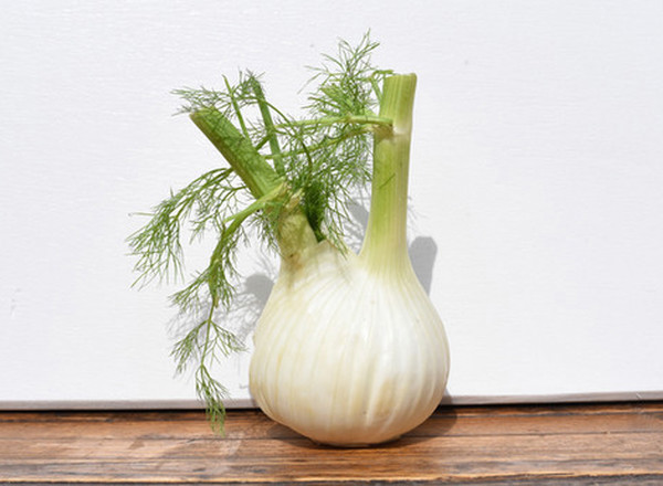 Organic Fennel Bulb Whole