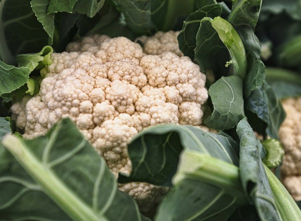 Cauliflower