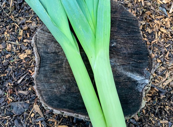 Organic Leeks