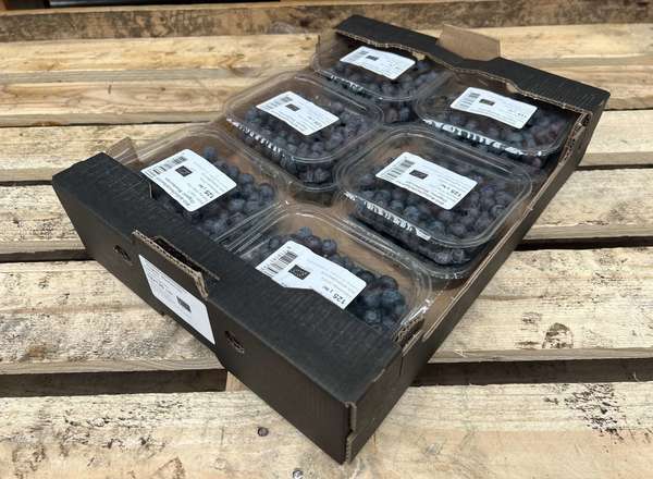 Organic Blueberries