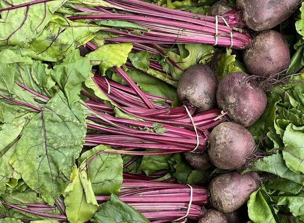 Organic Beetroot Bunched