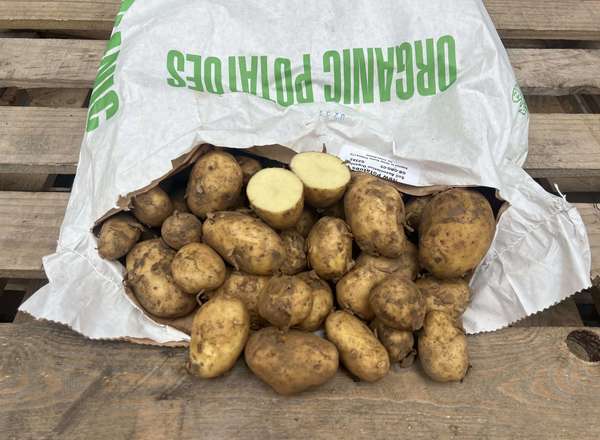 Organic New Potatoes (1kg)