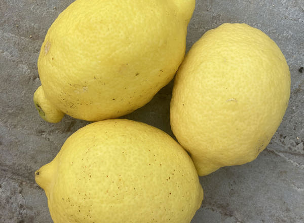 Lemon
