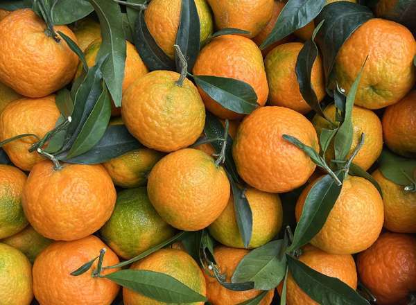 Organic Clementines (700g)