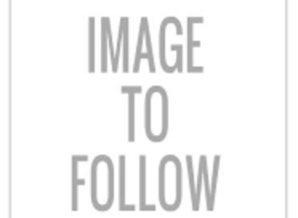 Babbinswood Hogget /Mutton- BOX